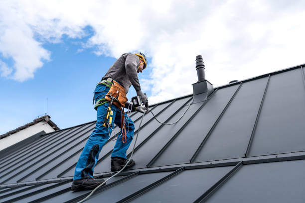 Best Roof Maintenance and Cleaning  in River Bend, NC